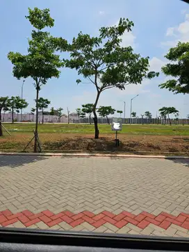 DIJUAL KAVLING KOMERSIAL THAMRIN CENTER PIK 2 LUAS 525m2 MASIH CICILAN