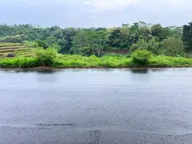 Tanah 1000m² Strategis Bangun Usaha Tepi Jl Mojogedang- Karangpandan