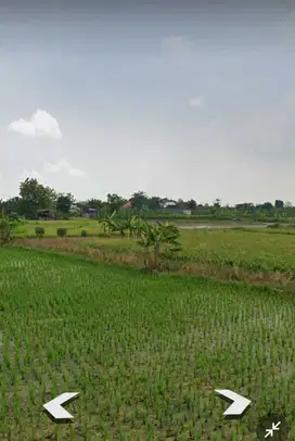 Lahan luas 6 HA hanya 200 meter dari Gerbang Belahanrejo, Gresik