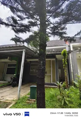 Disewakan rumah cluster pine forest sentul City