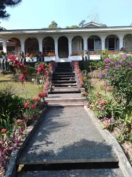 Villa Coolibah Ciloto Puncak