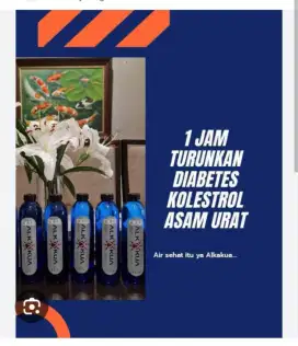 Air kesehatan Alkakua