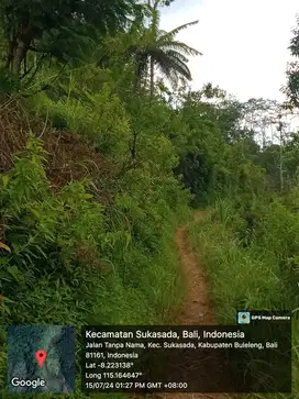 Tanah cocok untuk bunga pecah seribu