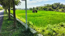 Dijual cepat tanah datar strategis, dekat agrowisata Telaga Kusuma