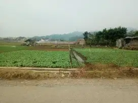 TANAH STRATEGIS SOREANG CILUNCAT