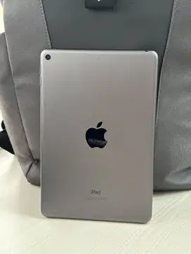 Ipad Mini 5 Grey 256 Mulus Normal