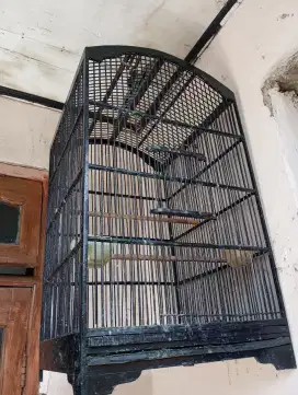 KANDANG KOTAK NO 1