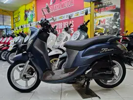Fino grande 125 Th 2018 Bluecore