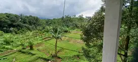 Tanah kebun siap pakai