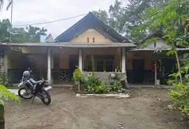 JUAL RUMAH TANAH LUAS MINGGIRSARI KANIGORO BLITAR
