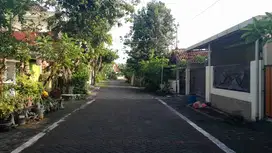 Rumah Nyaman Siap Huni Sambiroto Dkt Tembalang UNDIP