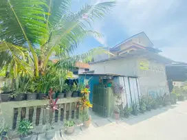Rumah Bisa Untuk Kontrakan Atau Gudang di Tj Priuk Jakarta Utara