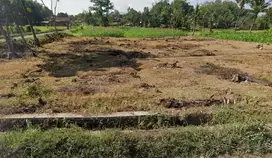 Tanah dijual desa wirolegi kecamatan sumbersari Jember