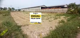 Jual Tanah Kering 0 Jln Provinsi Raya Krembung  Jasem Ngoro Mojo