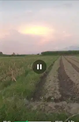 Dijual tanah Ngoro, Jombang untuk pertanian, peternakan