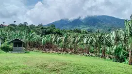 Tanah Kebun di Tugu Jaya, Cigombong, Bogor