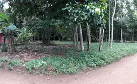 jual tanah di daerah cilengsi