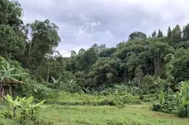 Jual Tanah Luas 1.2 Ha Desa Kuta Megamendung Puncak Bogor