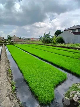 Tanah dijual di Soekarno-Hatta Gede Bage dkt Summarecon Kota Bandung