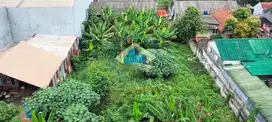 Jual Tanah di Jl Raya Kadusirung, Cisauk,Tangerang - Banten
