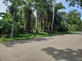 Tanah Luas Dikawasan Industri Cilacap Tengah Jawa Tengah