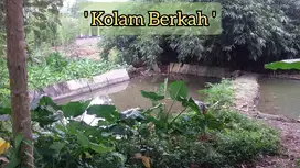JUAL TANAH BEKAS KOLAM IKAN TANJUNGSARI BLITAR