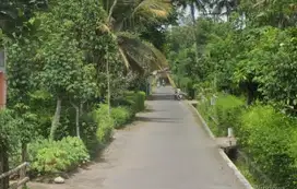 DI JUAL Tanah Pekarangan 125 jt di Sumberjo Blitar