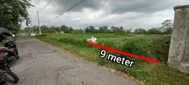 JUAL TANAH SAWAH SUBUR JAJAR TALUN BLITAR