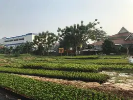 Jual diBawah NJOP Tanah Strategis di Karang Tengah Sudah SHM Tangerang