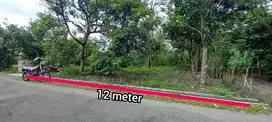JUAL TANAH BAGUS SUMBERJO TALUN BLITAR