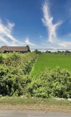 Dijual Lahan Strategis di Poros  Jalur Utama Pantura, Lamongan Jatim