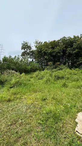 DEKAT KAMPUS UIN 3 COCOK UNTUK KOST TANAH MURAH SIAP BANGUN