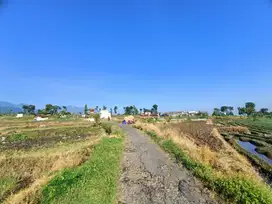 TANAH DESA PACET VIEW TERBAIK