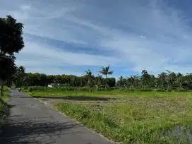 Tanah Pekarangan Kaliurang Sleman, View Sawah