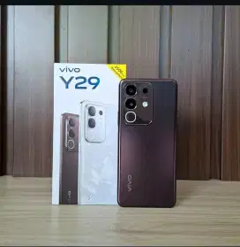 VIVO Y29 BATRAI BESAR 6500