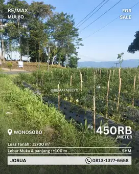 Dijual Tanah Luas Wonosobo Akses Mudah