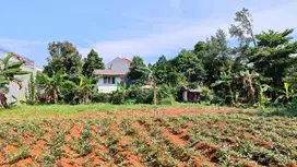 Di jual cepat Tanah Super Bagus Lokasi di Villa Melati Mas BSD City