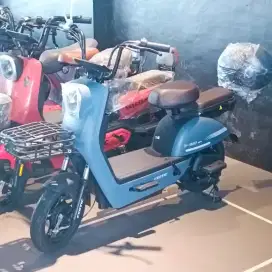Sepeda Listrik Exotic EV 322