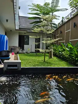 Dijual Cepat Rumah Besar Griya Sarana BSD - Pagedangan