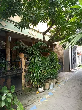 DIJUAL RUMAH & KOS2an Jl. Kedondong Lor Surabaya Pusat