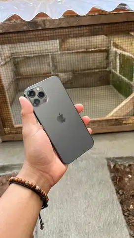 iPhone 12 Pro 256 GB beacukai