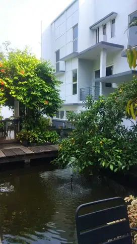 Rumah Mewah BDS Serpong LT 644M/LB800M