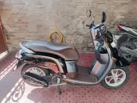 Scoopy staylis 2017