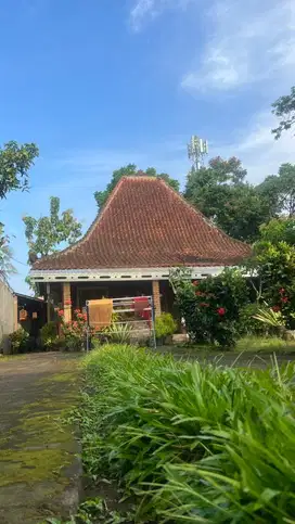 DIJUAL RUMAH ETNIK JOGLO ASRI HALAMAN LUAS