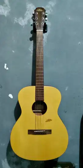 Gitar Aria MF-200 MTN