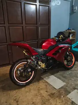 Motor Ninja RR 250