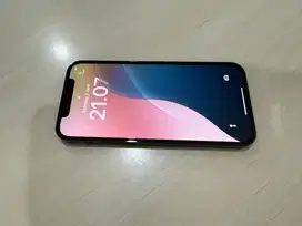Iphone 12pro 256gb Gress