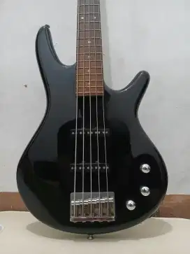 Ibanez gio 5 string