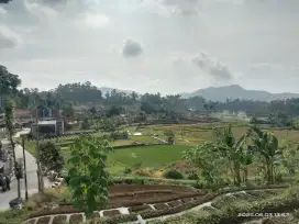 Dijual-tanah strategis akses pinggir-jalan-kabupaten lokasi-ciwidey