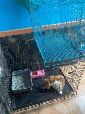 Kandang kucing size xxl